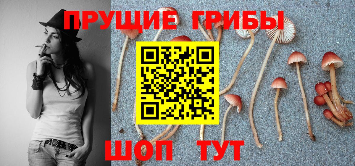 Галлюциногенные грибы мицелий  Галлюциногенные грибы GOLDEN TEACHER  Вход с VPN  Корсаков 